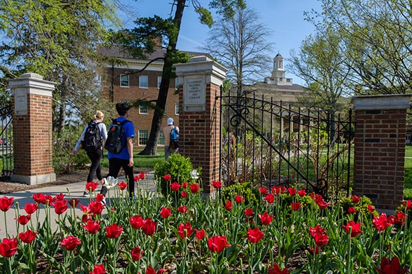 Students walk through a gate on their way to class.