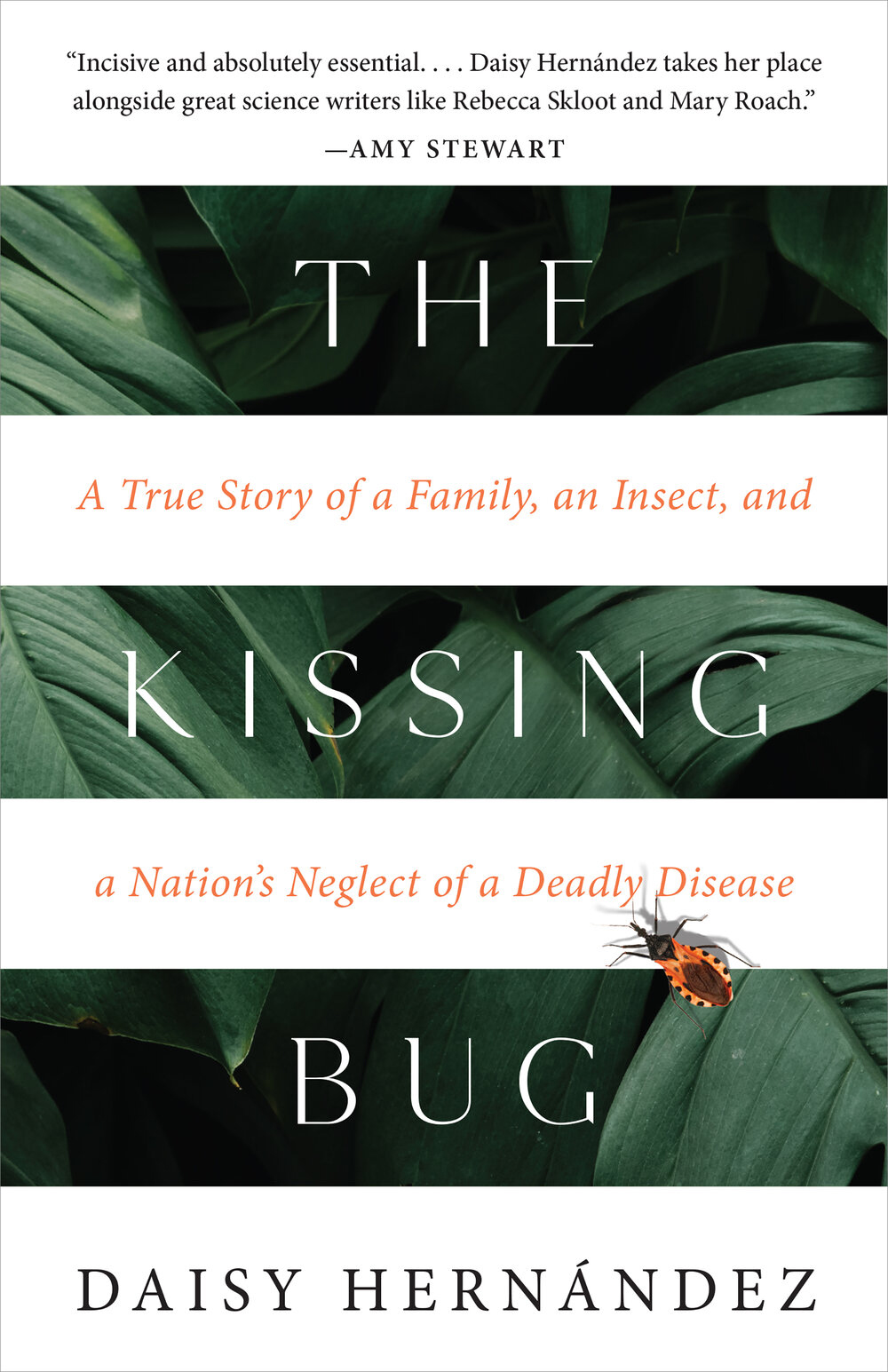Cover of Daisy's book: The Kissing Bug