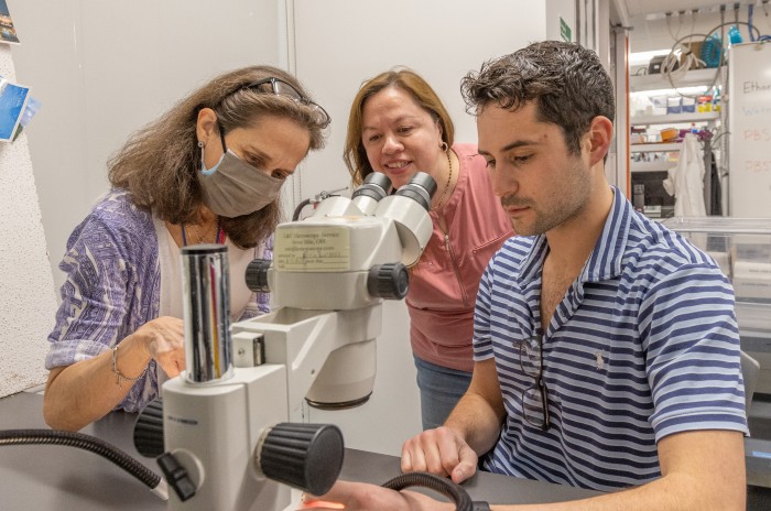 Biology Professor Katia Del Rio-Tsonis works closely with her student looking into a microscope
