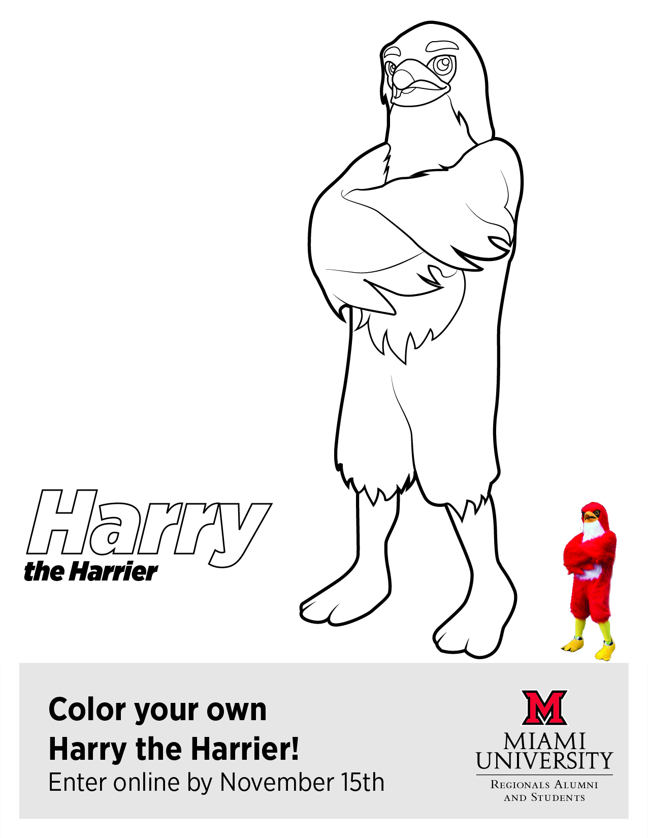 Harry the Harrier