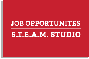 Steam Studio Jobs