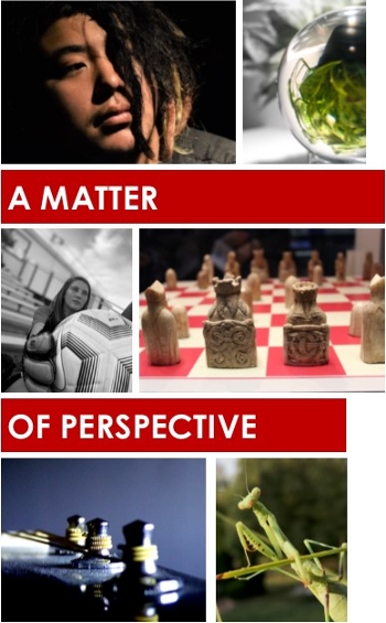 Collage of of pictures taken to showcase how "A Matter of Perspective" impacts a scene 