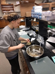 Olivia Faraci '19 working in the science lab at Miami Hamilton.