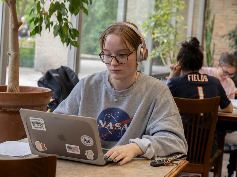 Student sitting in Harrier's Nest on the Hamilton Campus working on her laptop.