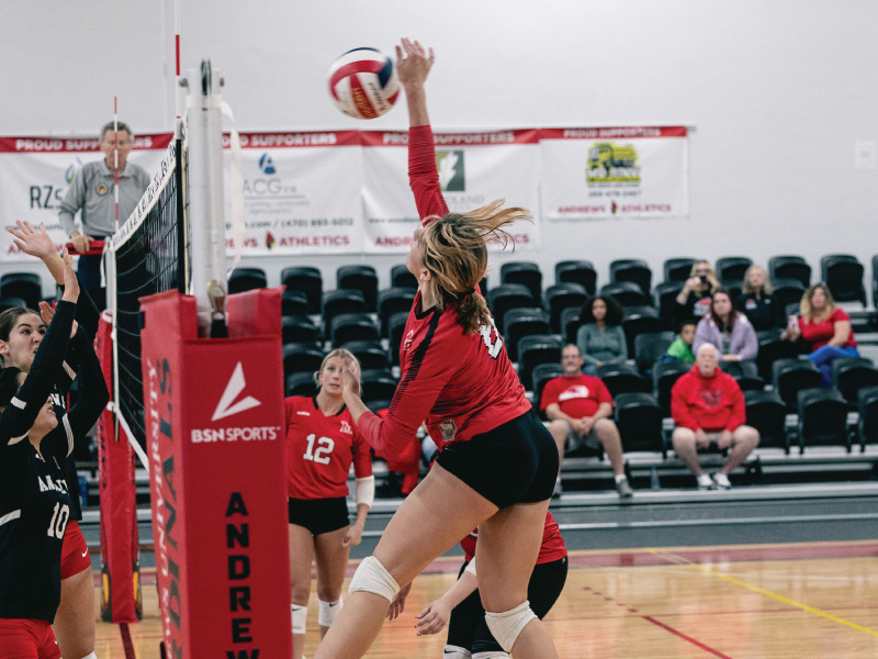 Harrier volleyball player going up for a hit