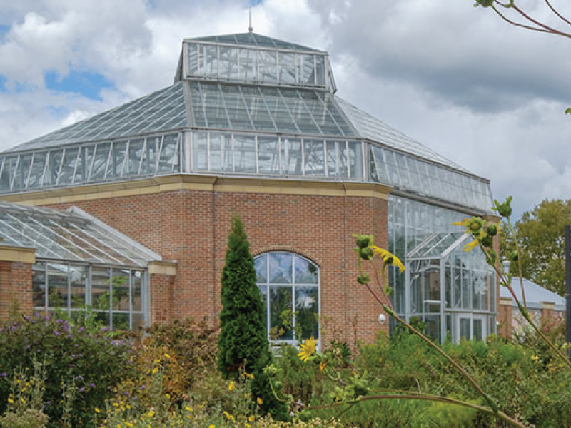 Exterior of the conservatory with yellow flowers