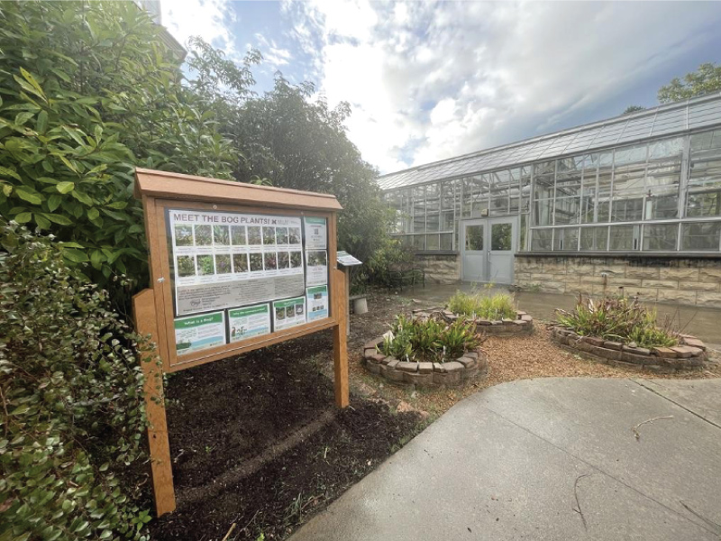 Three mini muskegs outside of the Conservatory at Miami Hamilton