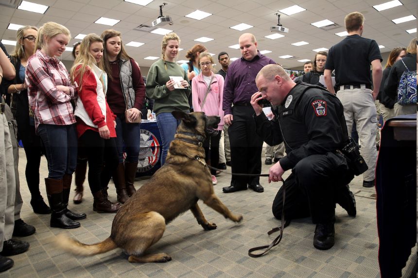 Officer works with a dog during a demonstration.