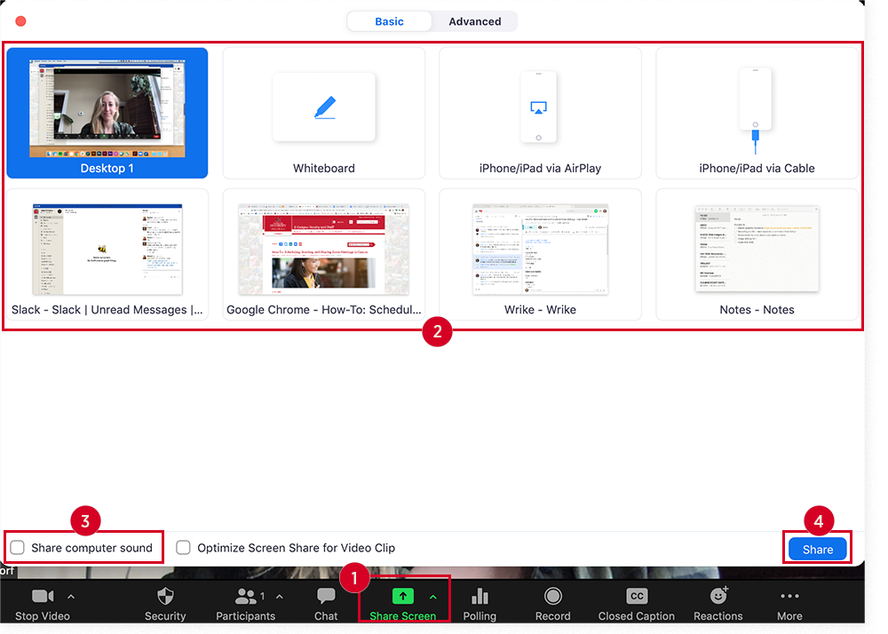 Options to share your screen in a Zoom meeting