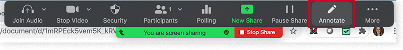The "Annotate" button in the Zoom toolbar