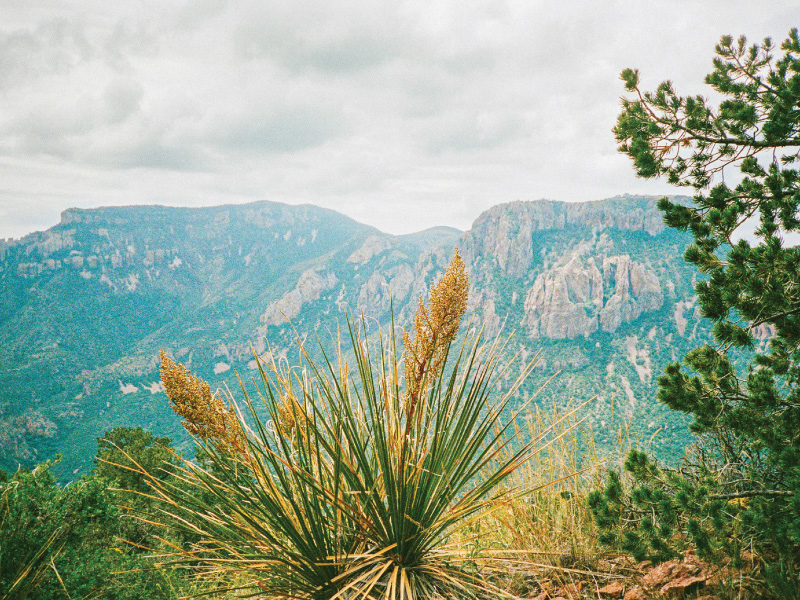 Big Bend, Texas, USA