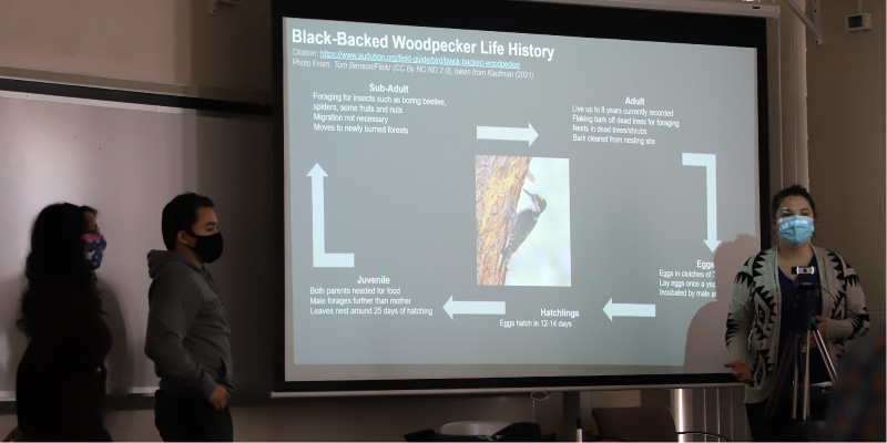 Students in Professor David Berg's conservation biology class giving a presentation.