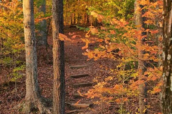 Ceaser Creek State Park trail 