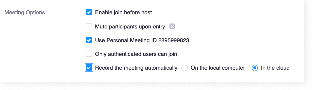 Meeting options on a Zoom meeting details page in Canvas