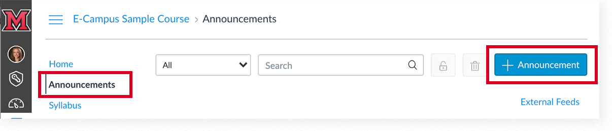 Canvas Announcements page