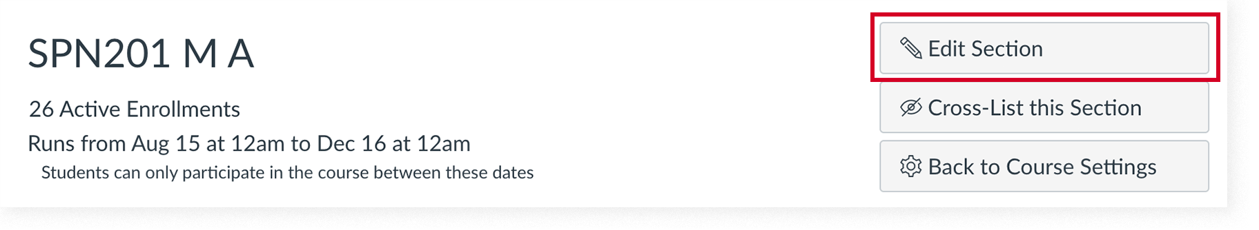 The Edit section button in Canvas settings