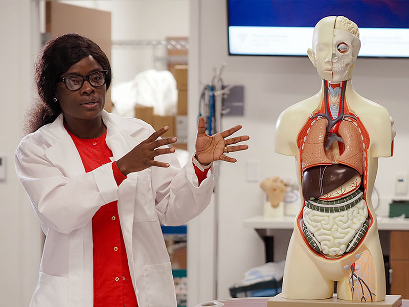 A nursing instructor teaching with a human anatomy model