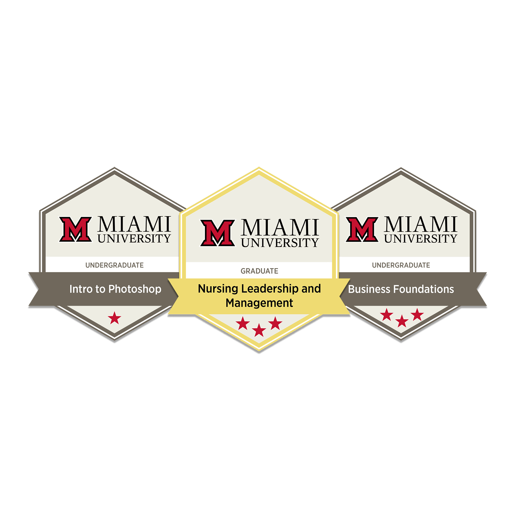 Microcredential digital badge examples
