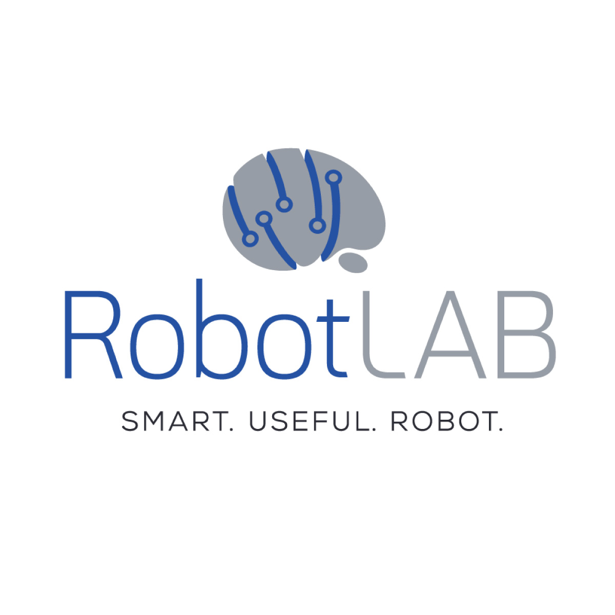 RobotLAB. Smart. Useful. Robot.