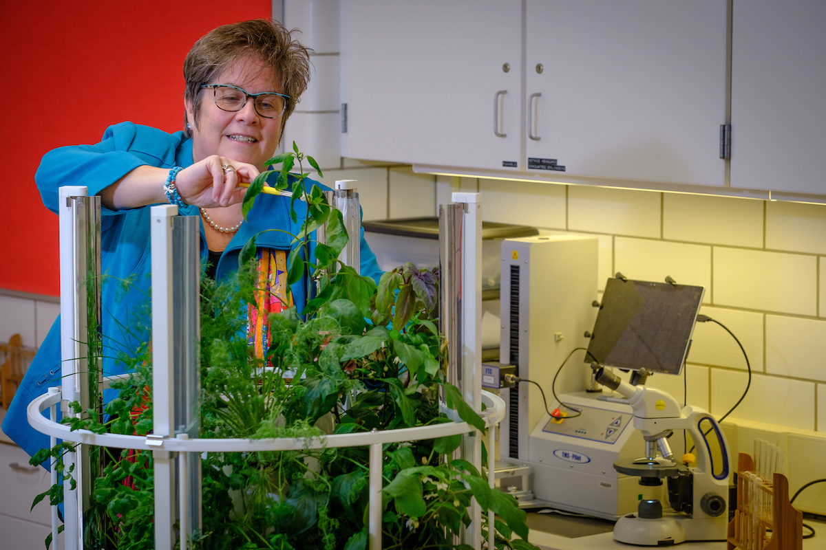 Nancy Parkinson caring for plants