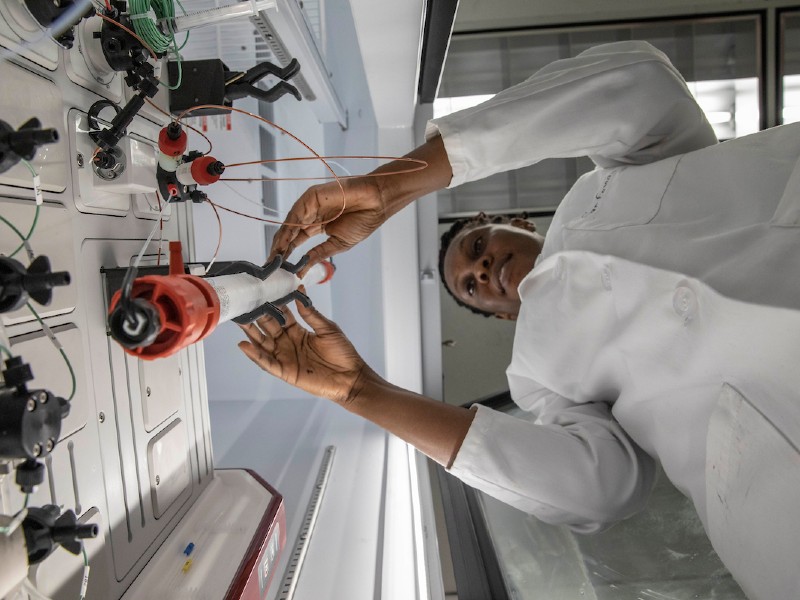 Graduate student working in lab