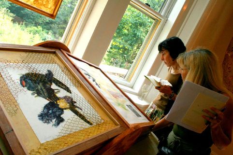 People viewing two drawings framed in two beekeeping frames. One drawing is partially covered with a wire mesh honeycomb pattern overlay