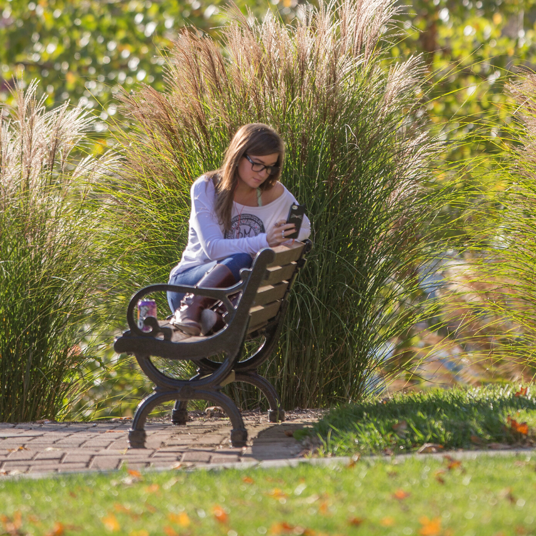   Student alone on a bench, looking at her phone.