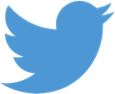 Blue twitter logo