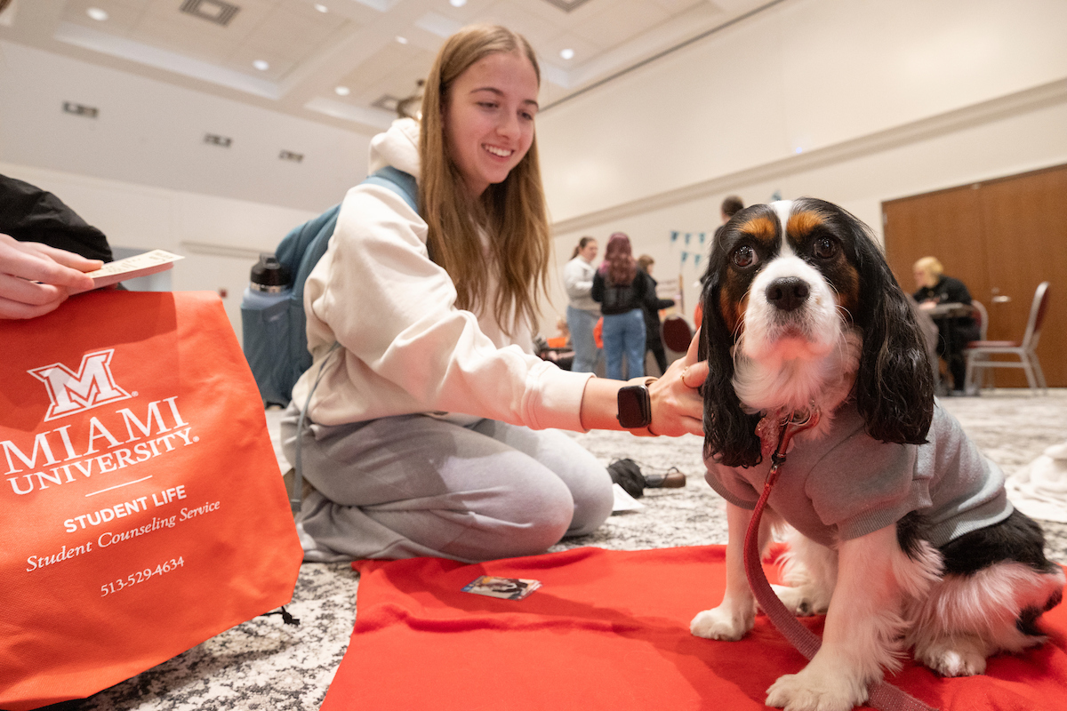 Poppy- a 6 year old Cavalier King Charles Spaniel, certified therapy dog through Alliance of Therapy Dogs