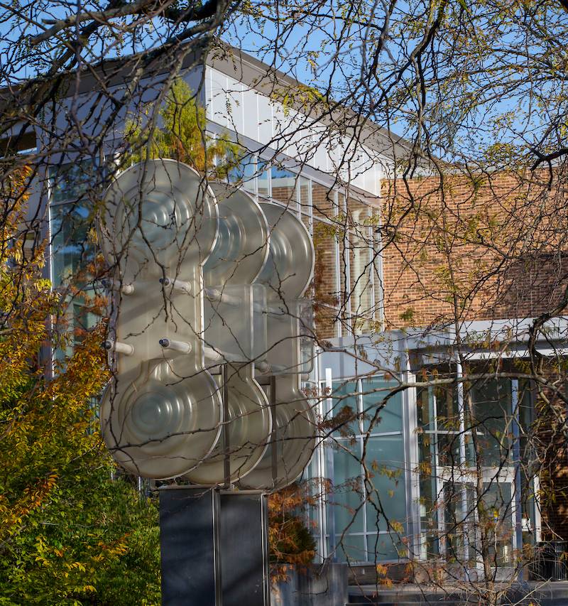 Miami's Middletown campus seen peeking through branches of a tree in the fall