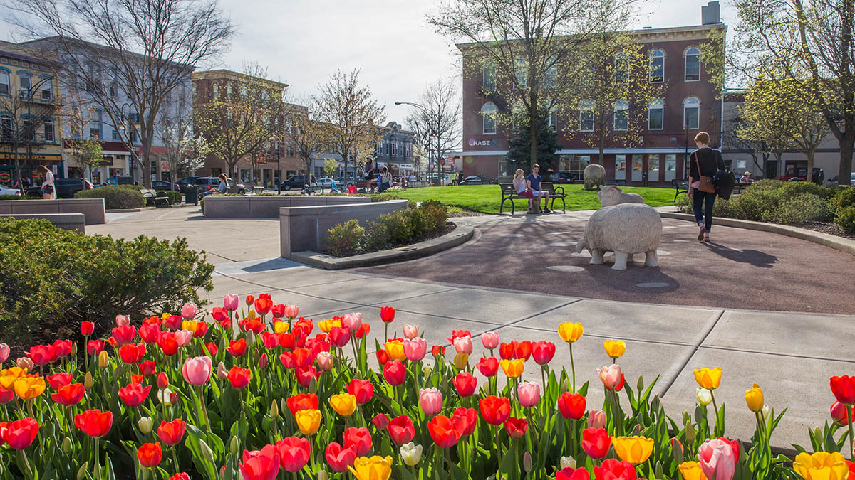 uptown Oxford in the spring with tulips blooming