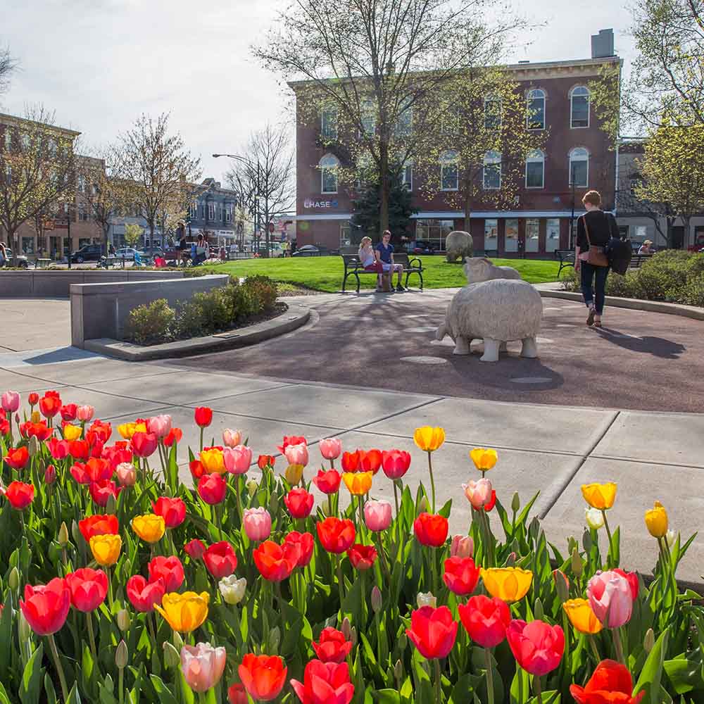 downtown oxford with flowers