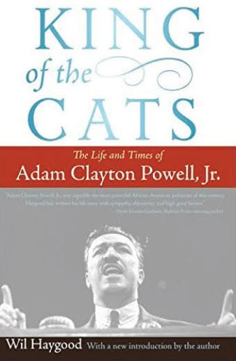 king of the cats book cover